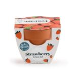 Radis et Capucine - Mini kit Fraisier - Pot Terre Cuite - 6 cm - MEDIA_PACKAGING_VERSO